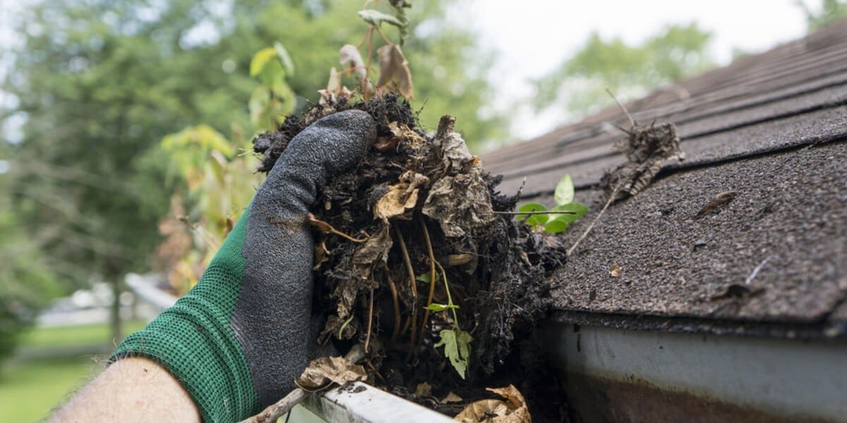 Cleaning the gutters of a rental home, summer property maintenance - featured_image